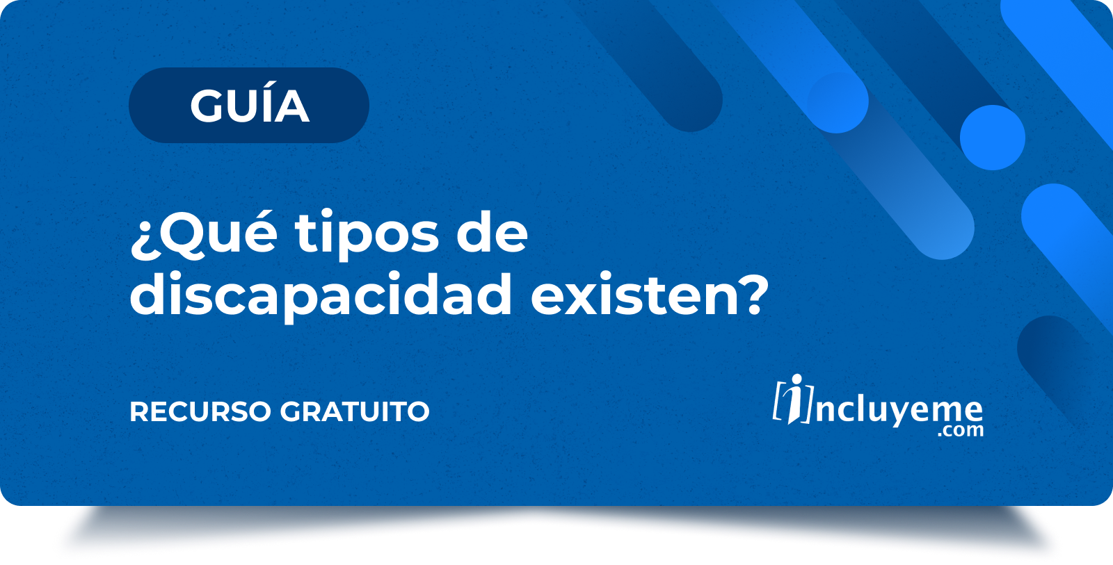Guia - ¿Qué tipos de discapacidad existen_